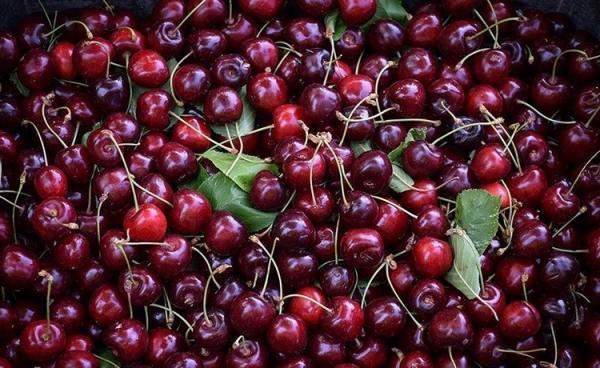 خواص شگفت انگیز و بیشمار گیلاس