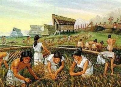 خوراکی هایی که در زمان باستان رواج داشتند، دلیل عجیب آدم خواری مردم گینه نو!