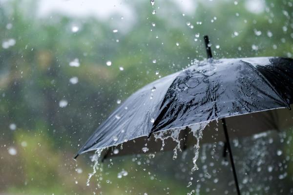 پیش بینی شرایط هوا طی چند روز آینده، بارش باران و رعد و برق در این استان ها